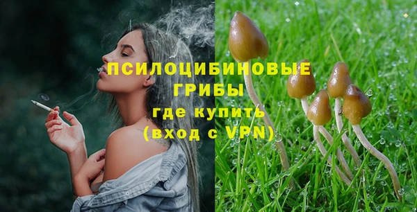 спайс Баксан