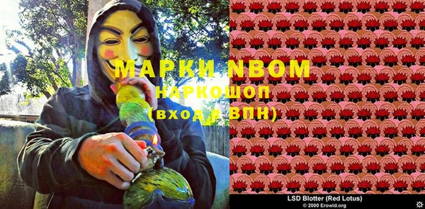 спайс Баксан