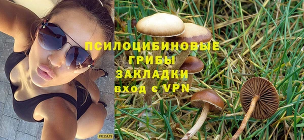 молекула духа Белоозёрский