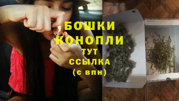 трава Балахна
