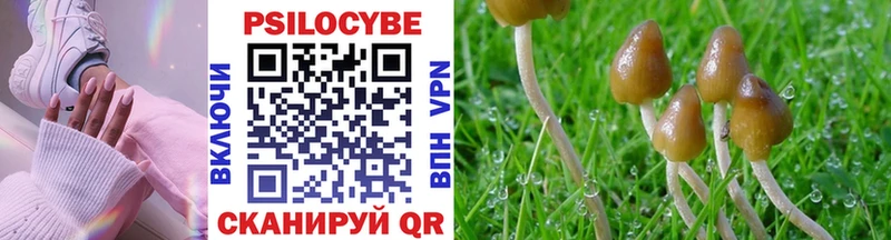 darknet Telegram  купить наркотики сайты  Надым  Псилоцибиновые грибы Cubensis 